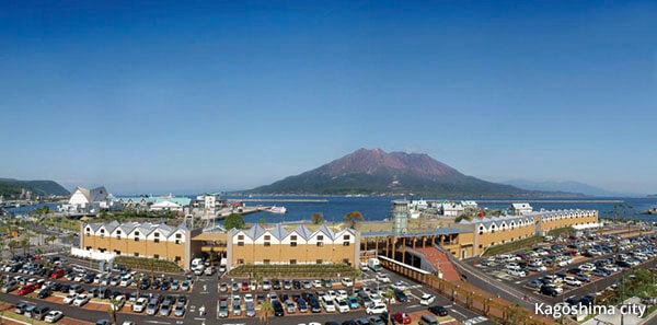 A scenic viewpoint overlooking Sakurajima and Kinko-wan Bay